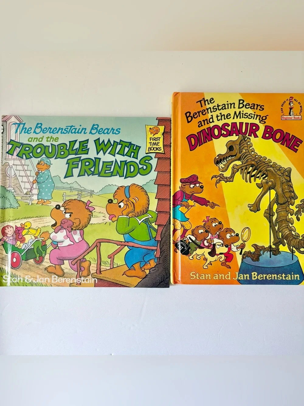 The Berenstain Bears Book Lot